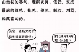 张家界张家界的要账公司在催收过程中的策略和技巧有哪些？